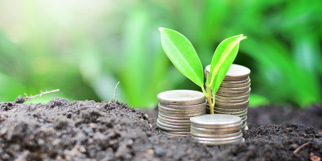 Growing Interest in Environmental, Social and Governance Investing